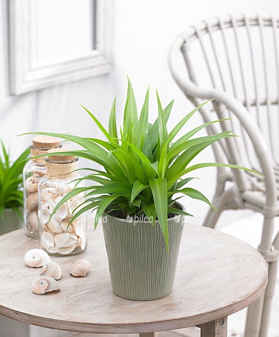 7cd4f916 f516 4e73 9240 46bf8727af1b