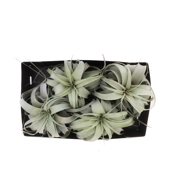 802469_v_t5.jpg 802469 v t5