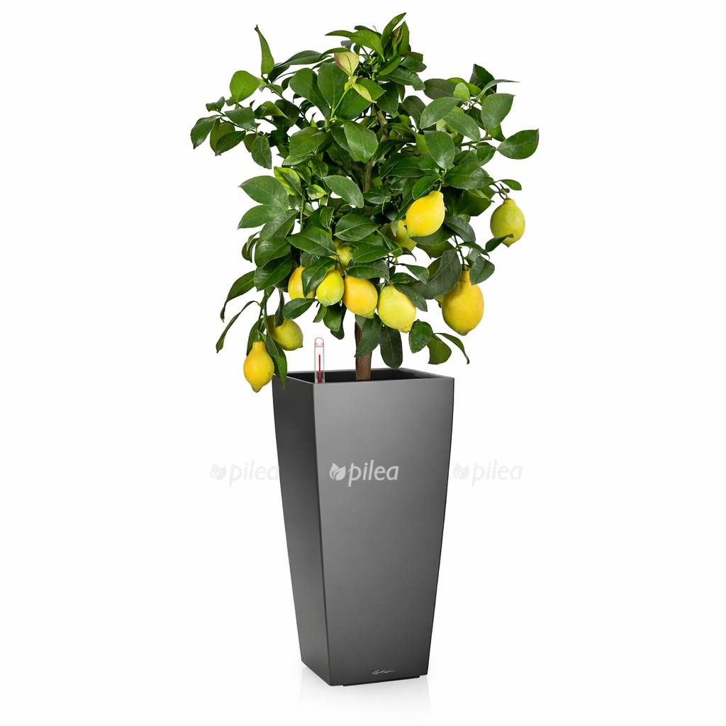 8198b079 a291 41d1 a4bf 084ca4828d7f