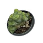 82190faa 97fd 4ad7 9822 07580d90ebb0