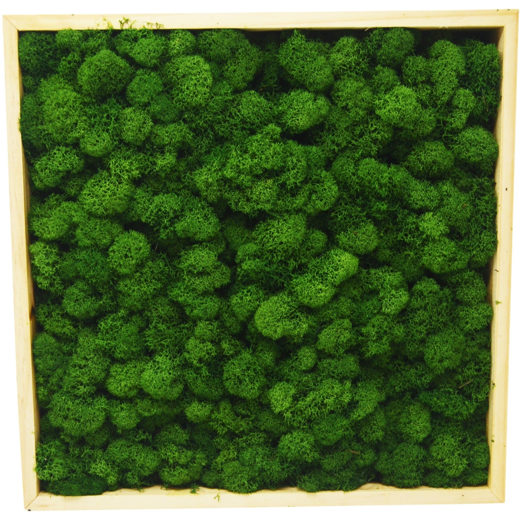 83ea594c 048a 5bff 9efa