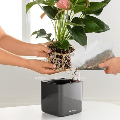 8938fbe7 55eb 4173 a560 e1c72a09e9c1