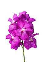 8e5ff529 bb26 42a2 85fd ba5dbb10a325 640 853