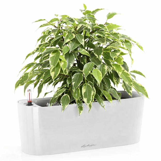 8f576ce6 9fb8 4ed0 a4ee ebc8054e4630 e1768218757591