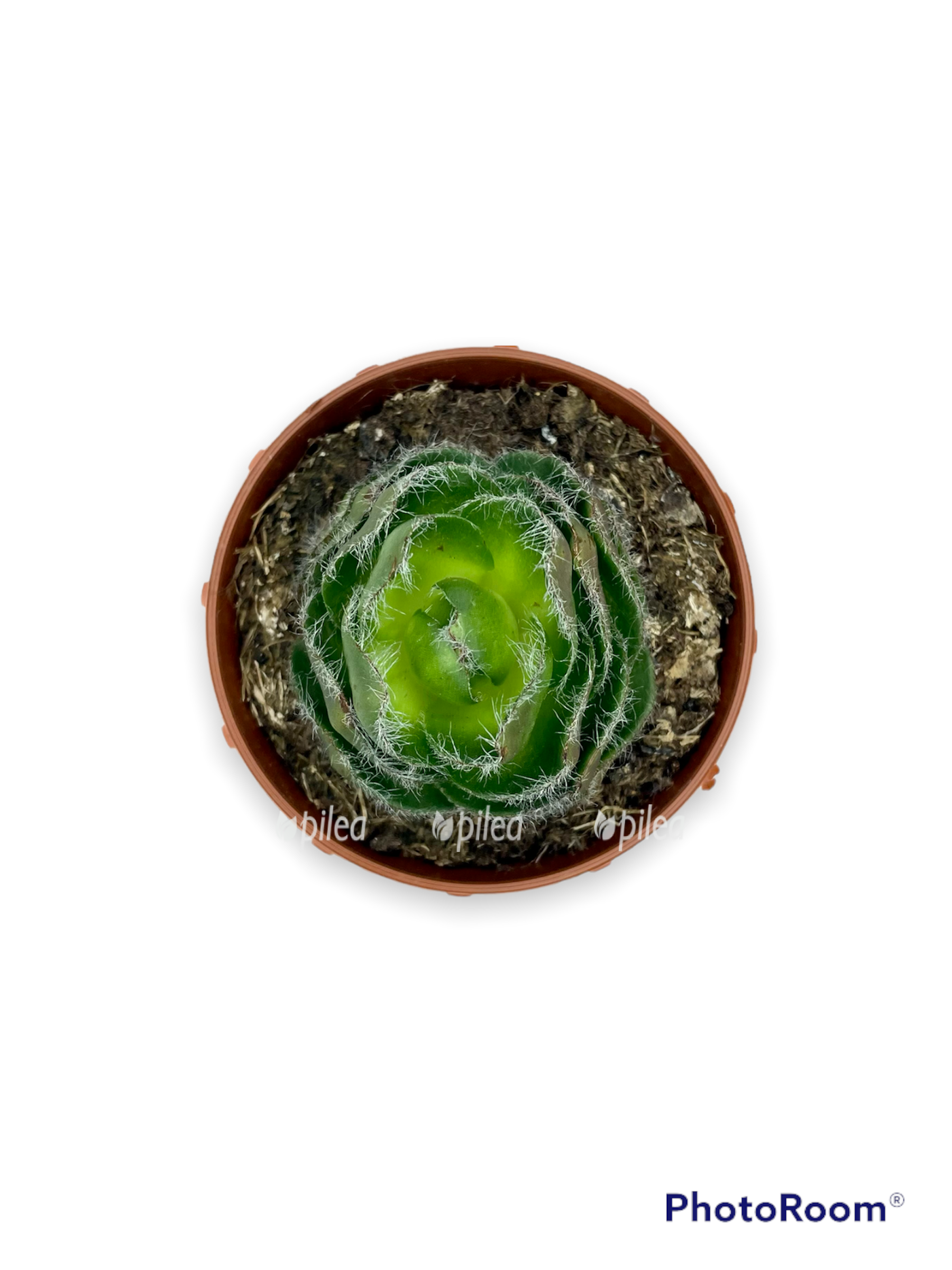 90b9c1a1 93e8 4cc2 9e19 97a2416d324e