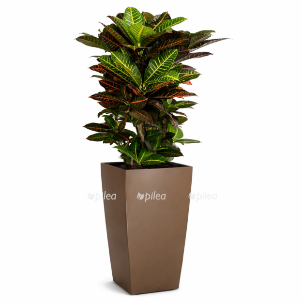 99f703ec c88a 4cef a15a a271d375cd87 e1768322430242