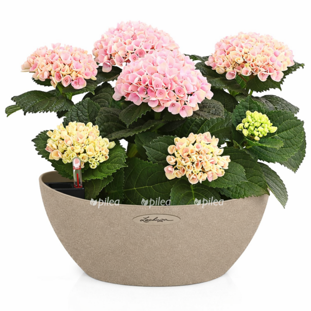 9d7d0798 3f4c 41d7 b4c4 ff245fee2032 e1768220623469