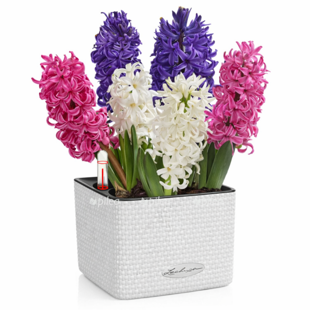 9d9f834b 94b2 4cdb bd45 1d67956d38e5 e1768235279144