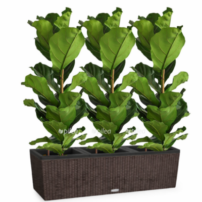 a90f8552 f5cb 467d a5fd 719610a6439d e1768213854725