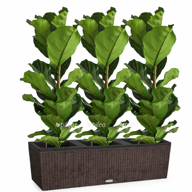 a90f8552 f5cb 467d a5fd 719610a6439d e1768213854725