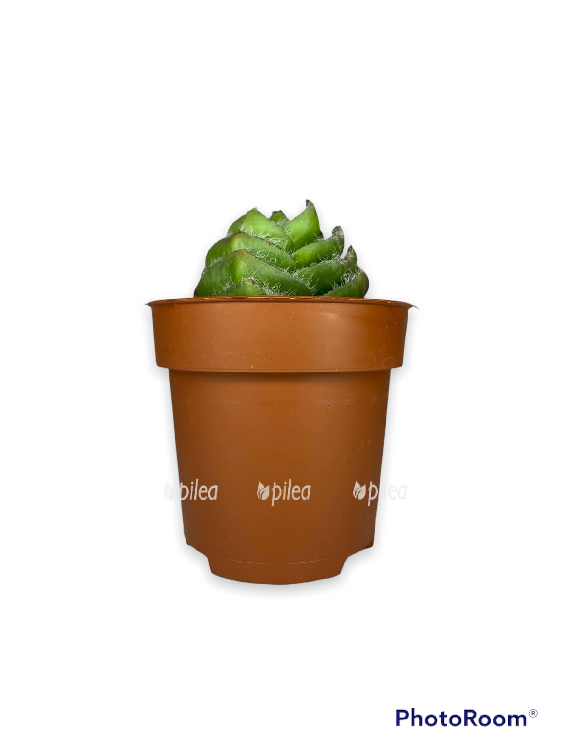 ac961ba5 4178 477b 8f1c 6413efdcd2c1