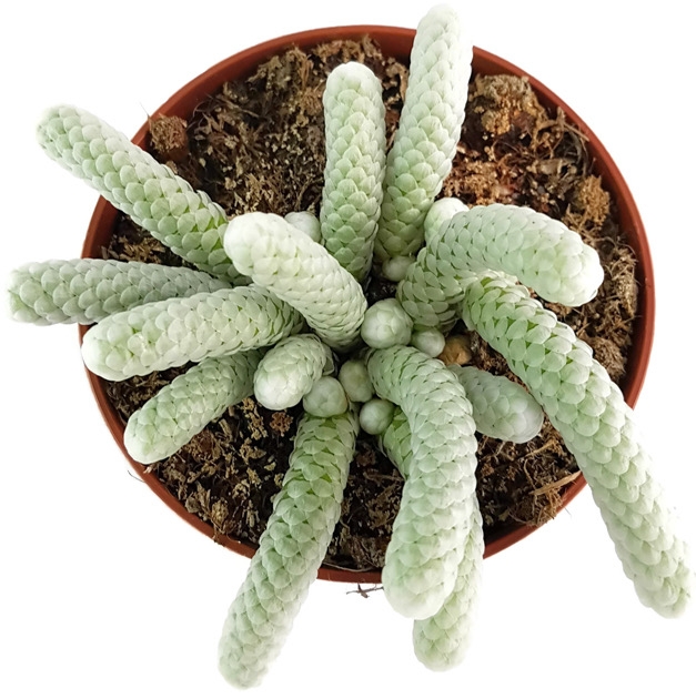 ac9f0e6b-8205-4ed2-b8bd-bade9bf0f294.jpeg ac9f0e6b 8205 4ed2 b8bd bade9bf0f294