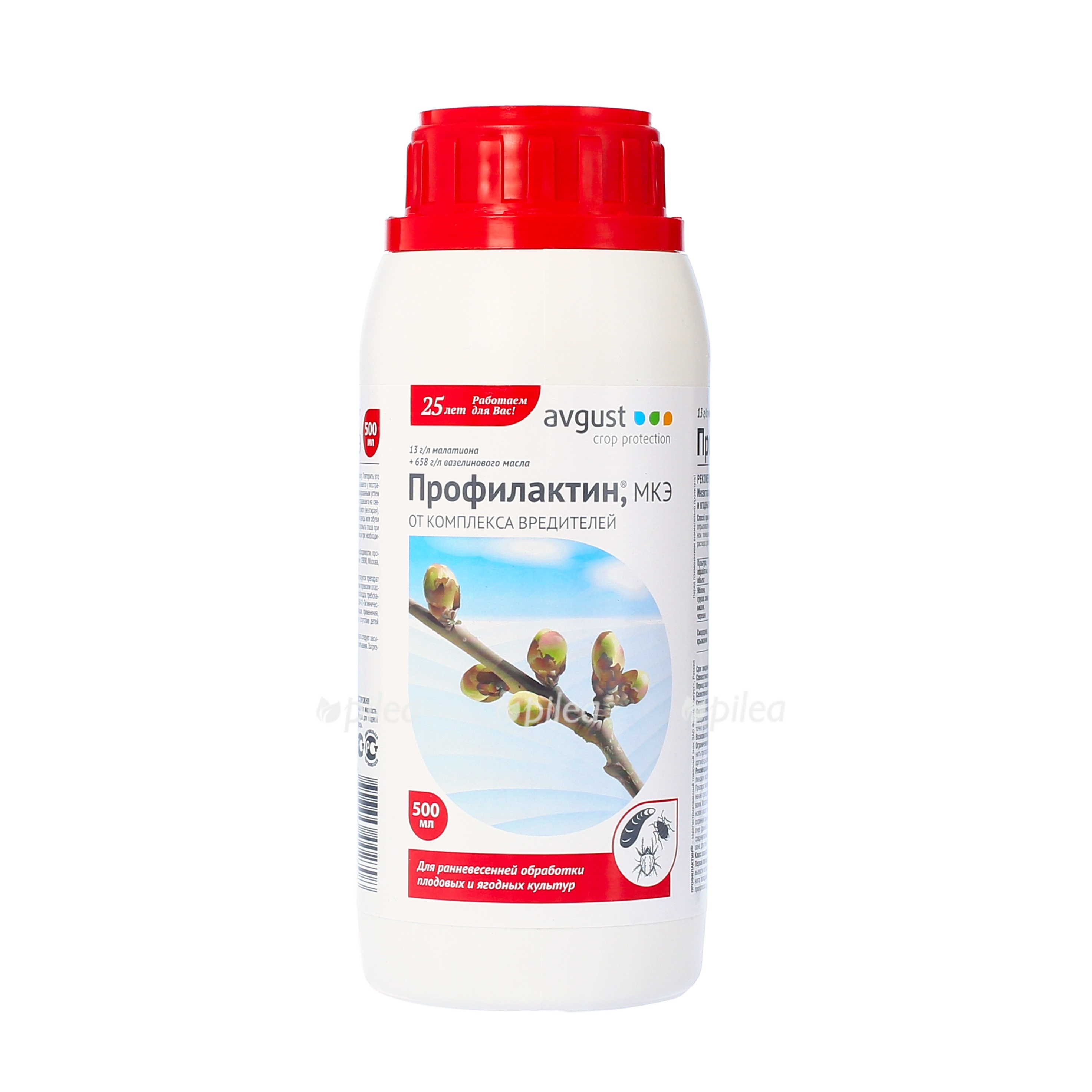 avgust-profilaktin_enl.jpg avgust profilaktin enl