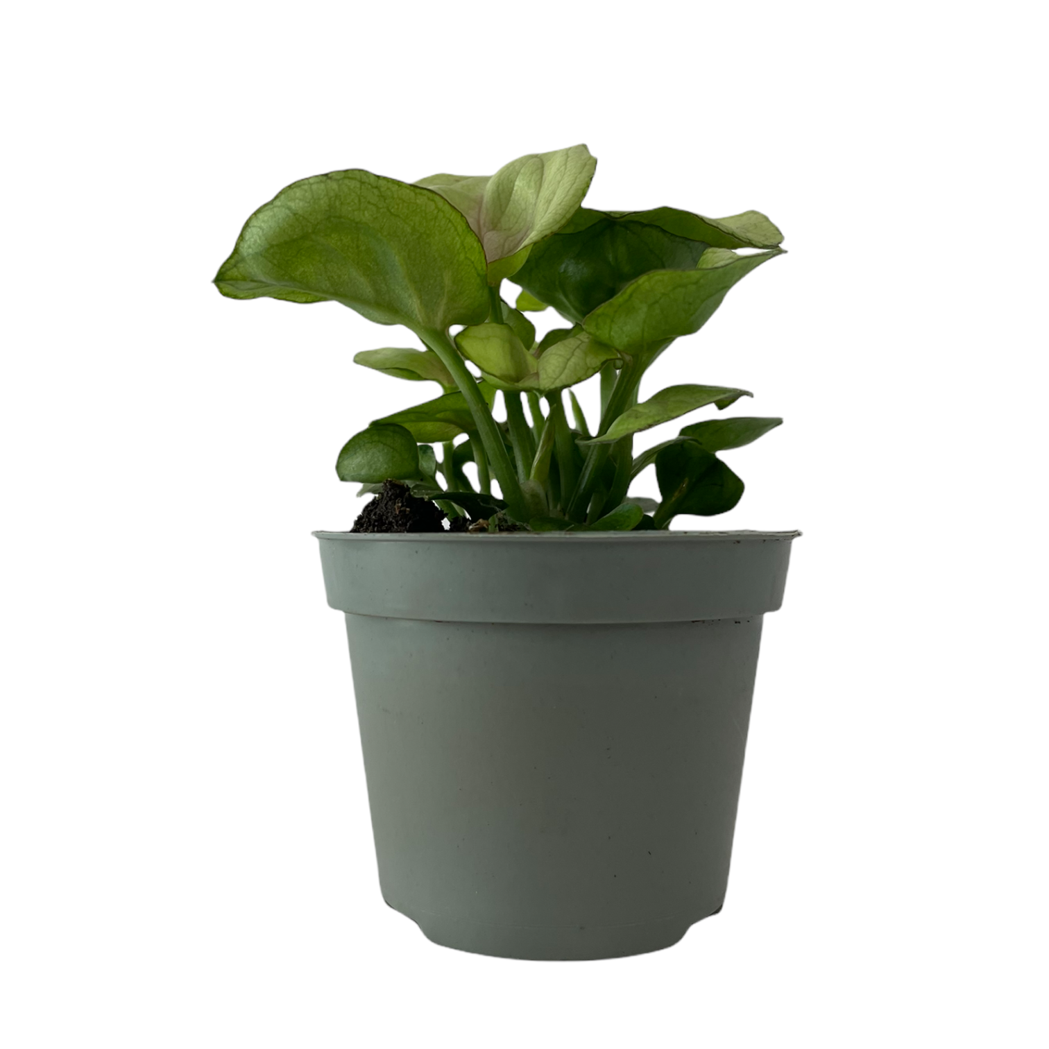 b112f385 9ce3 42d4 8f13 dc1dc357d1a2