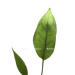 b360d728 adec 4e22 acc7 e01b640b3e6c