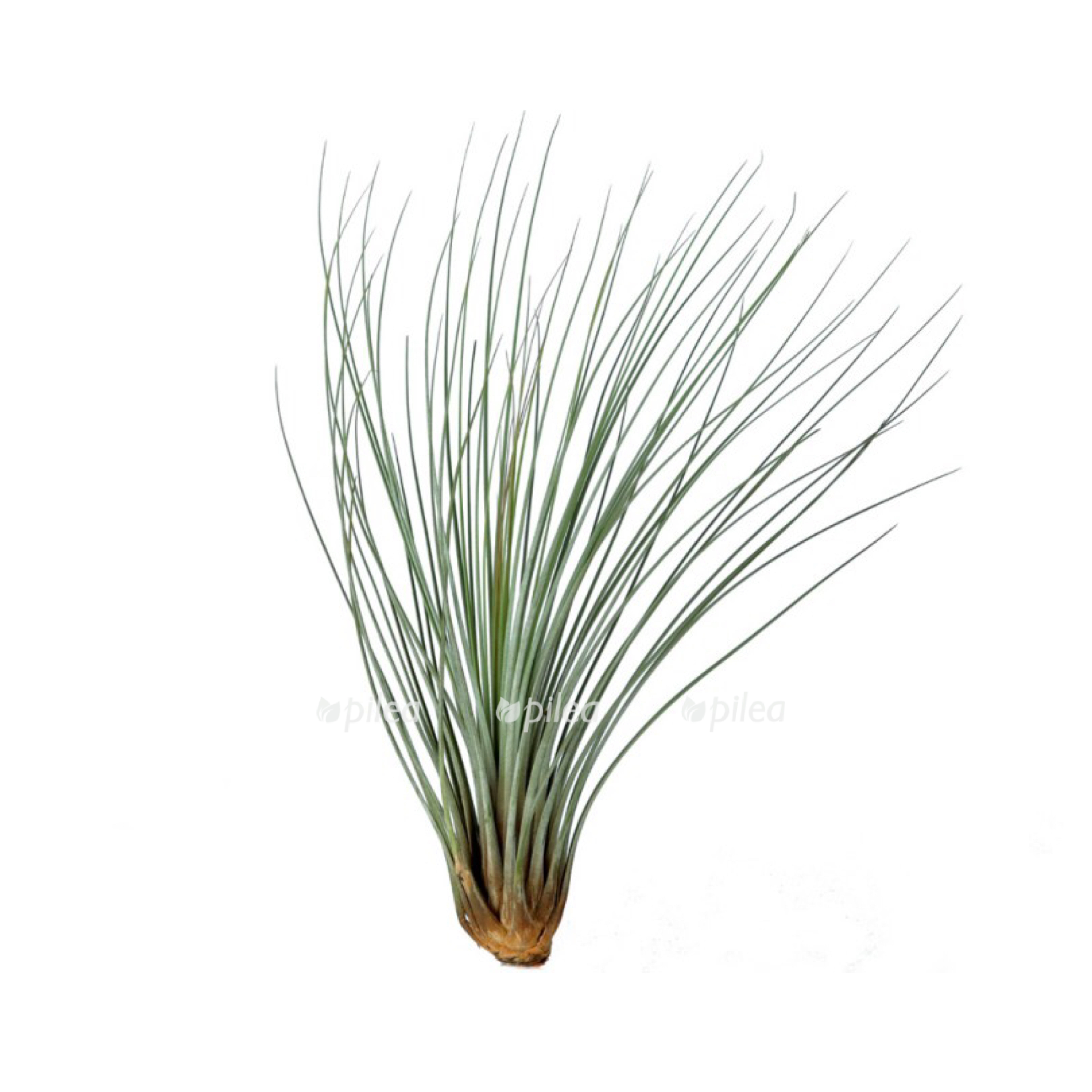 b3a25276 fa46 4309 8b0e 7e458be55898