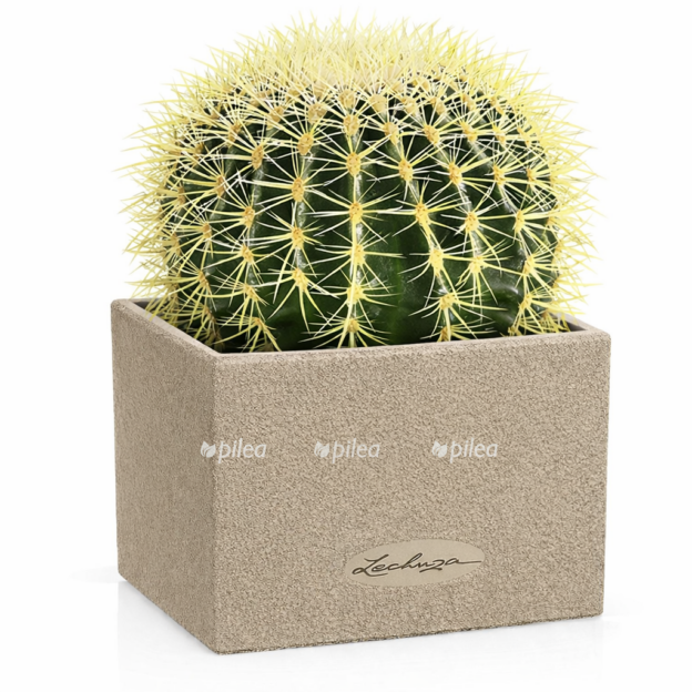 b3a7e91e e8e7 4370 853c 97480231bdcf e1768238242197