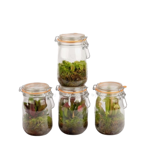 b3e01468 8797 486d a7e6 3dfb757b6c00