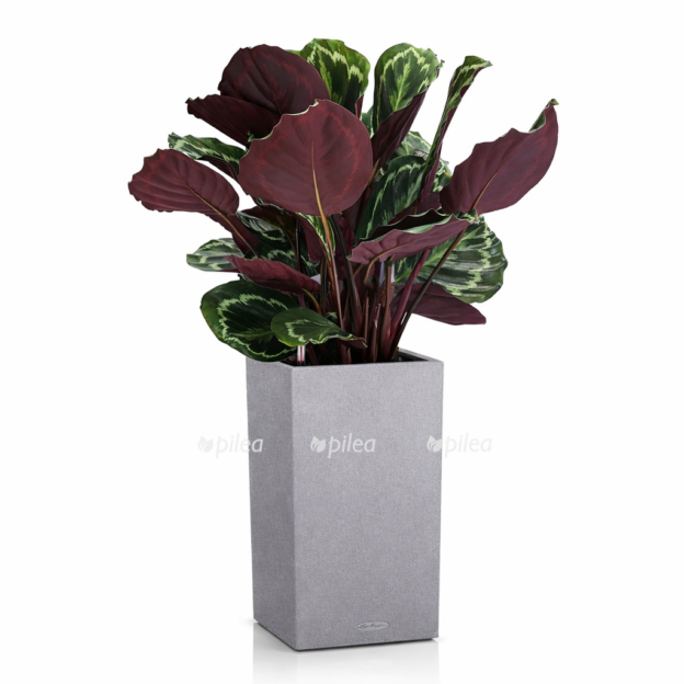 b80aea29 0c87 4fe6 863c 87dec8dae7a3 e1768287069563