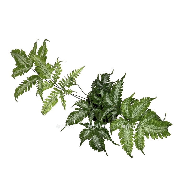 b829c7c9 f691 4369 ab7e 54a209ded55e