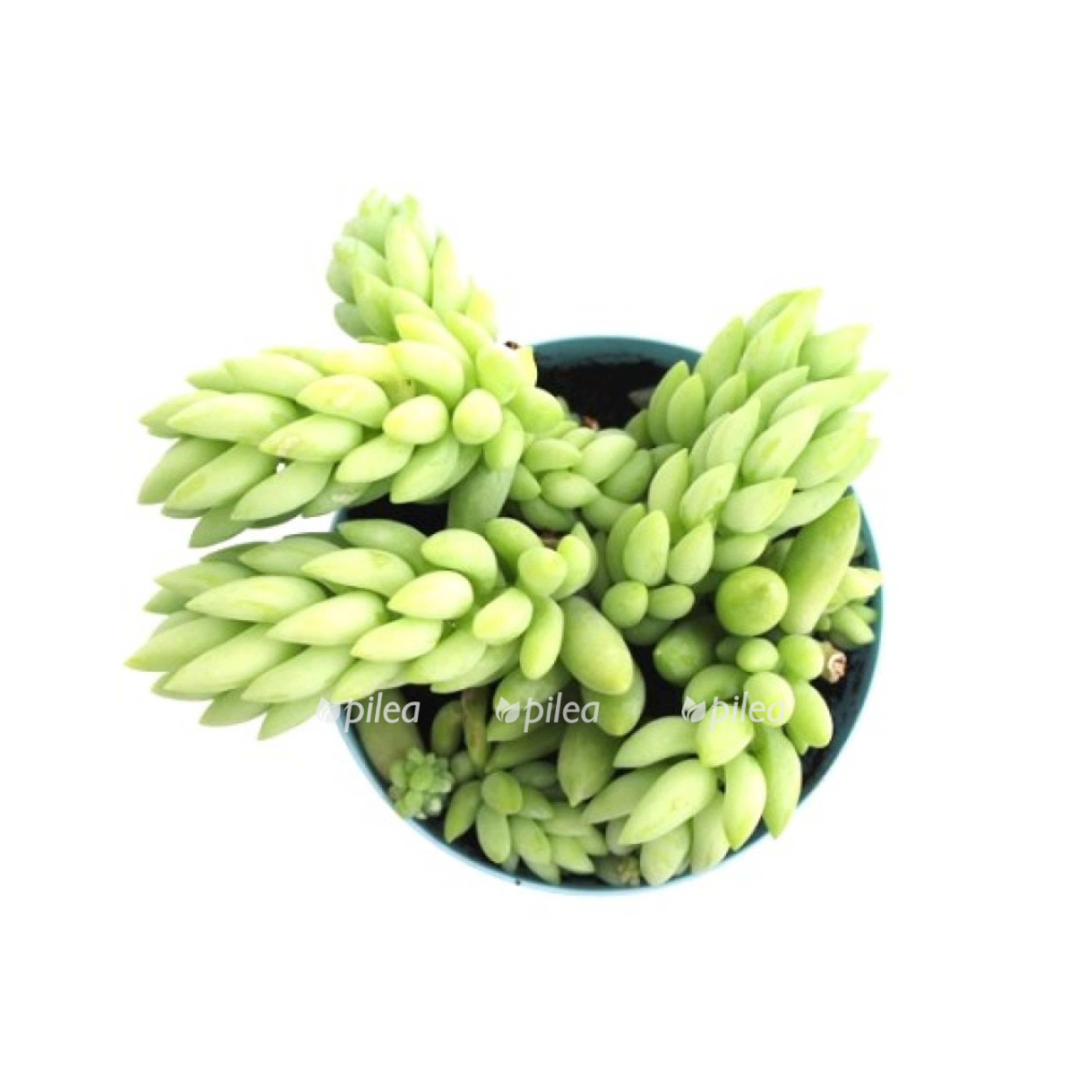 b94c471d 1da2 41d4 ac01 a0d4f06e8ba4 1