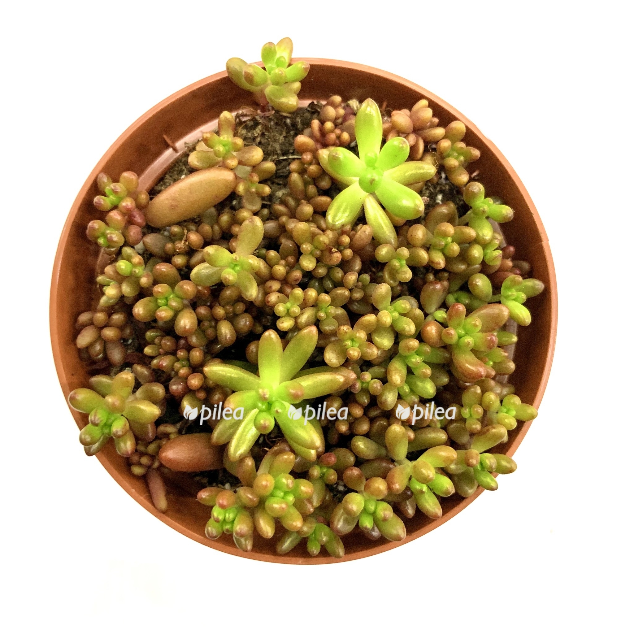 ba5be0eb 6bf1 4f52 8c3e 56a1ad2bd5be 1