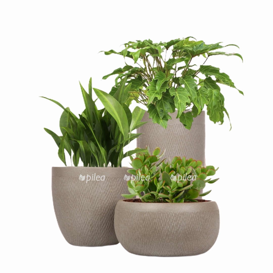 c0770ccf d143 4ae5 80ef 452b847a67c8