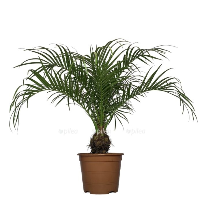 c26756db 87ec 49af ac64 31ed5d7a5fef e1693841083947