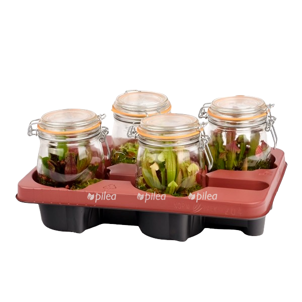 cfae5bc6 bf0e 42db 9622 04b264ec65a2