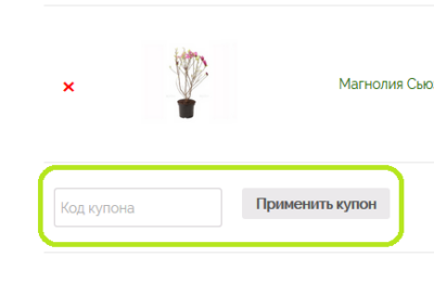 Как воспользоваться промокодом 1 Как воспользоваться промокодом