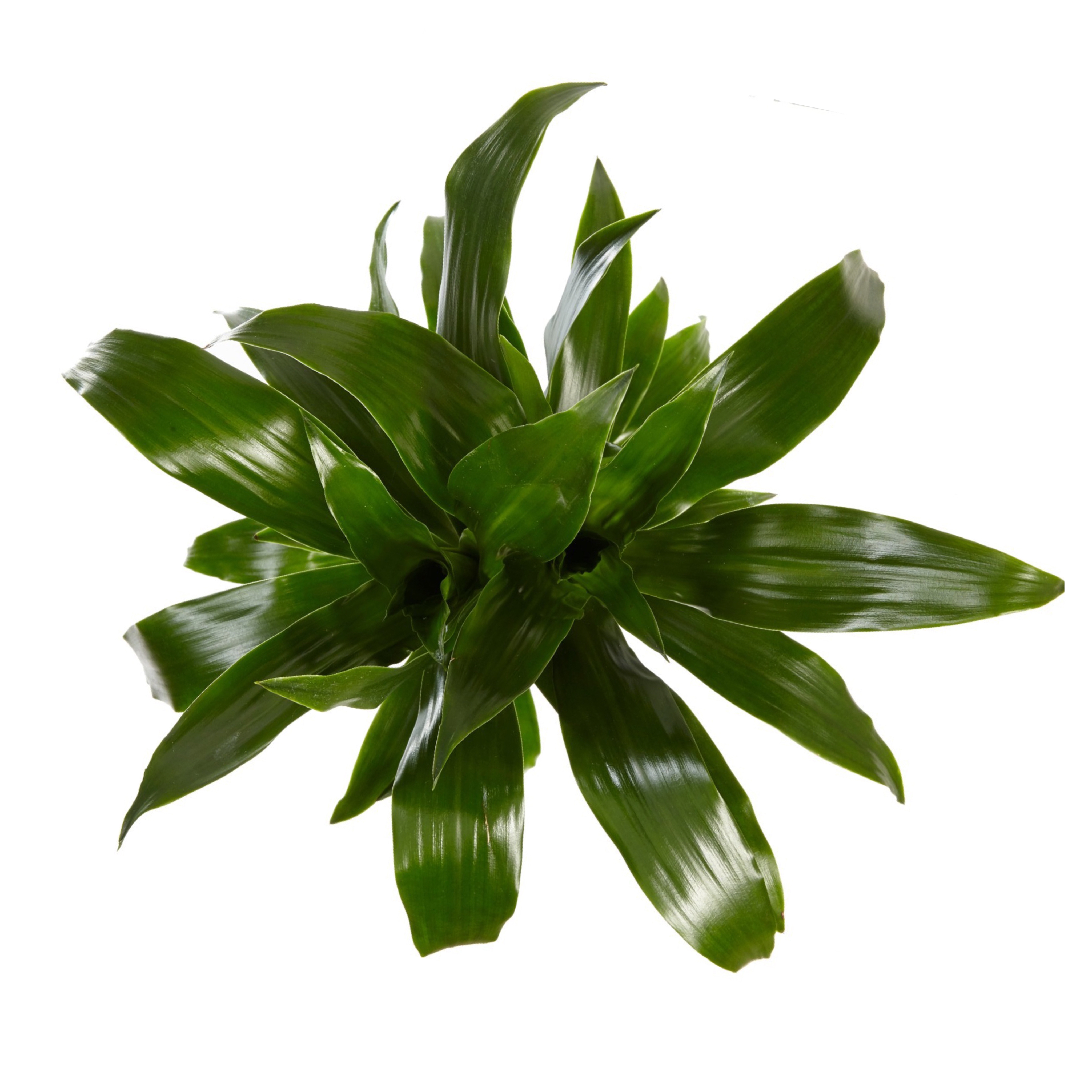 d702ce78 78d5 4c49 934e 0134e2e7c8a2