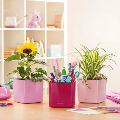 d7ec386e 902d 4231 91a4 db3502590c34