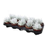 d9ef101f 0faa 401f 894d 8cf0f2521272 e1620849443758