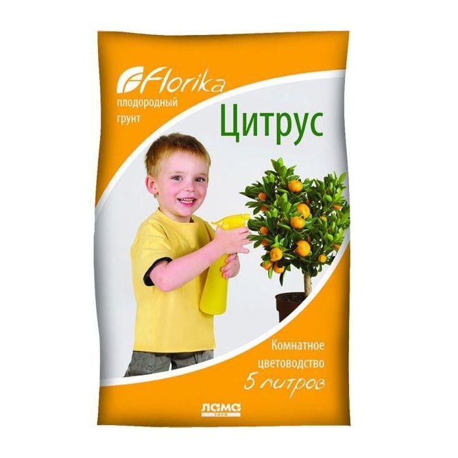 data files uploads 39293 good pics goods image1 18669933 1542459620