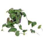 db29e9f0 b156 4eda 85f5 4ad99b21985b