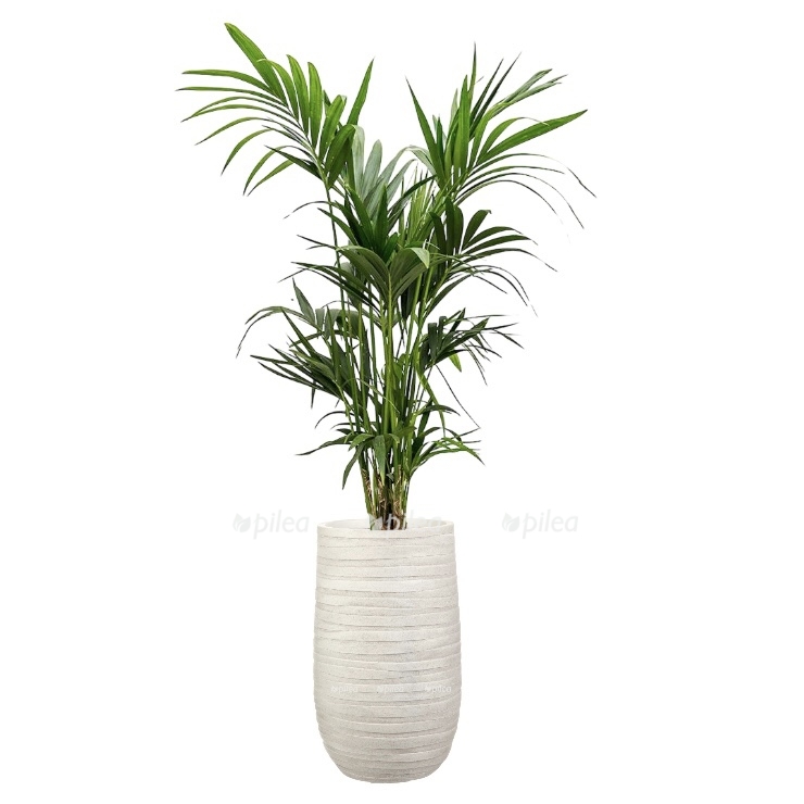 db2b96c1 d716 4972 962e b111f5d3d0ea