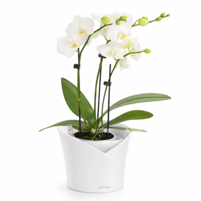 db327f99 4495 48ae bf81 fb944deb7952 e1768216003676