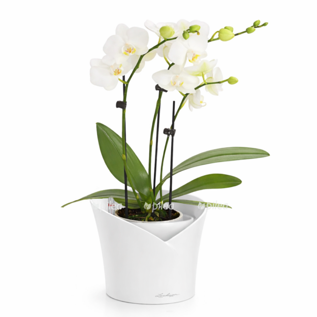 db327f99 4495 48ae bf81 fb944deb7952 e1768216003676