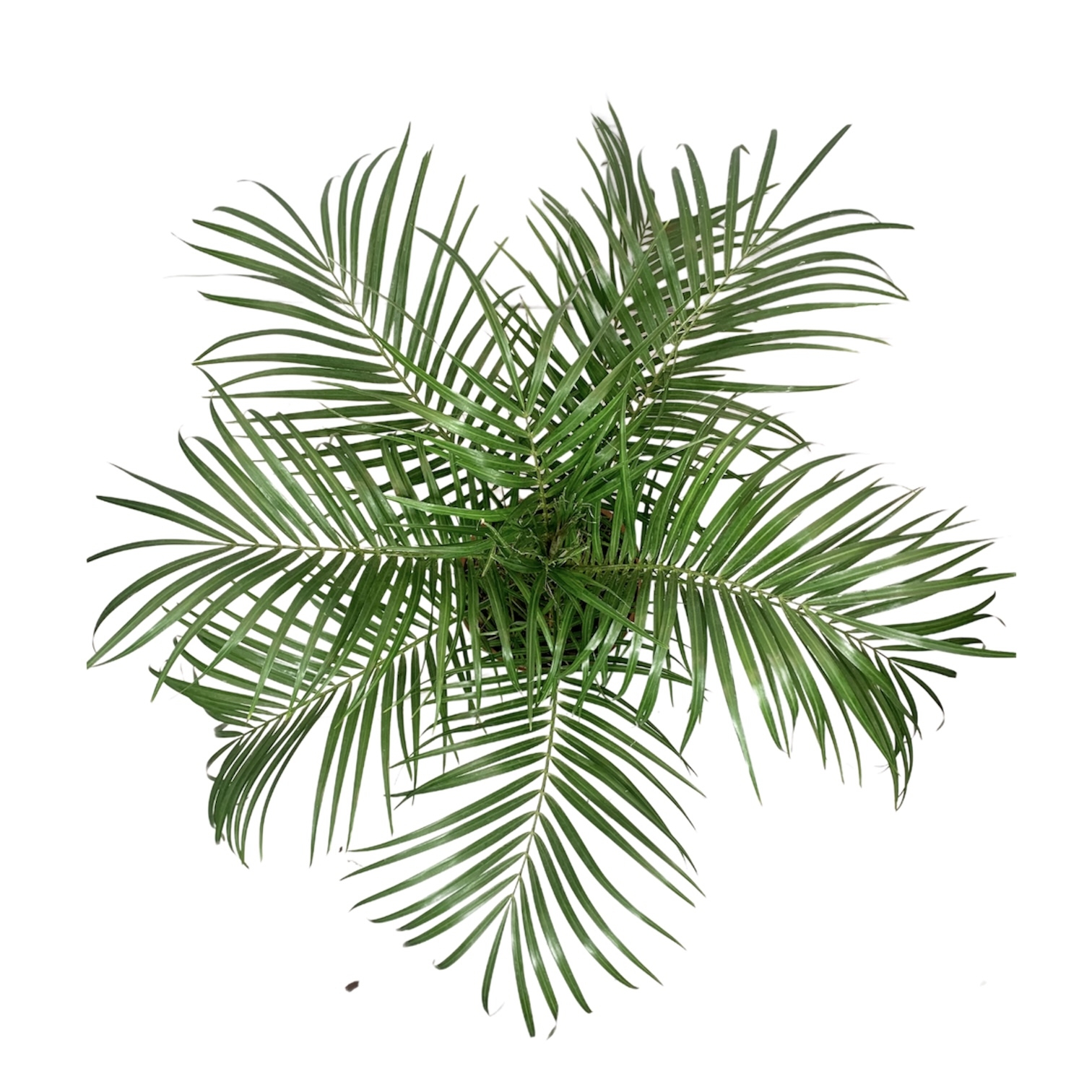 de345959 79b4 4850 9640 17a9a1fe04f1