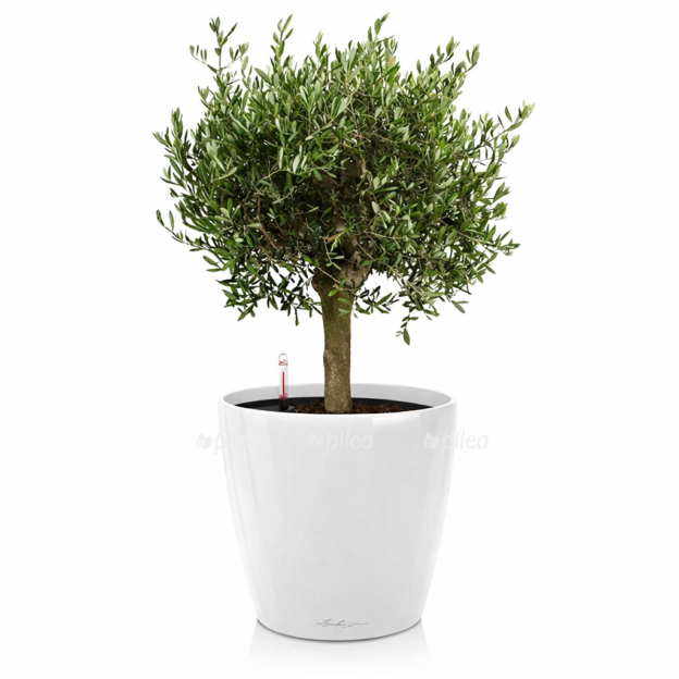 de60adee-1abb-433d-b9ba-a787d404bb64-e1768232963712.png de60adee 1abb 433d b9ba a787d404bb64 e1768232963712