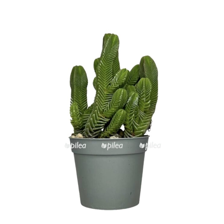 ebd982f6 54fe 4556 bfe1 26cf6fe9d492 e1683402494144