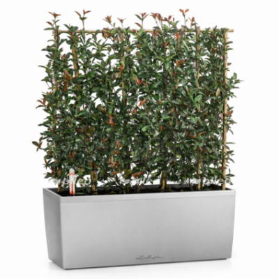 ed8ec83e bd95 4107 ba16 2968bc7266e0 e1768236140425