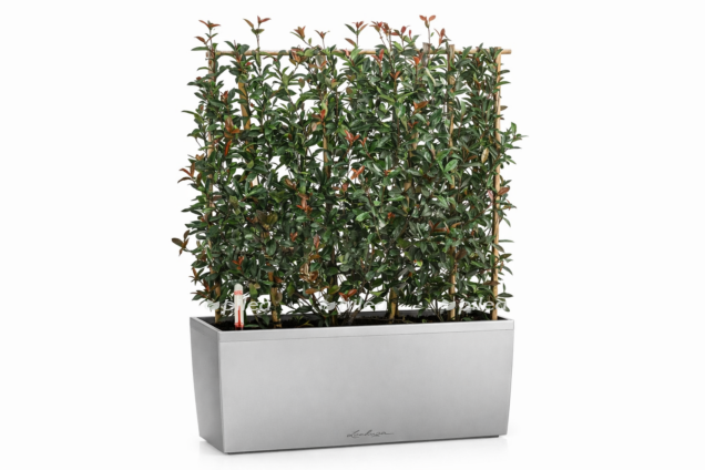 ed8ec83e bd95 4107 ba16 2968bc7266e0 e1768236140425