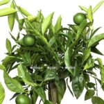 ee77cf75 8e91 46a6 95ee e1666670603656