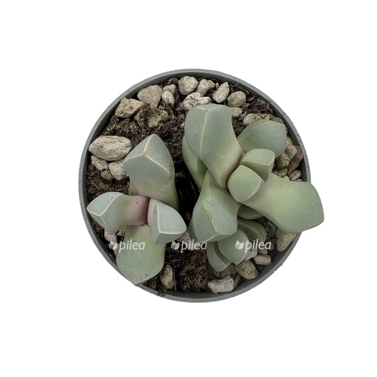 f41ed23d 3d35 47ec 9db0 7cc47a859fe0