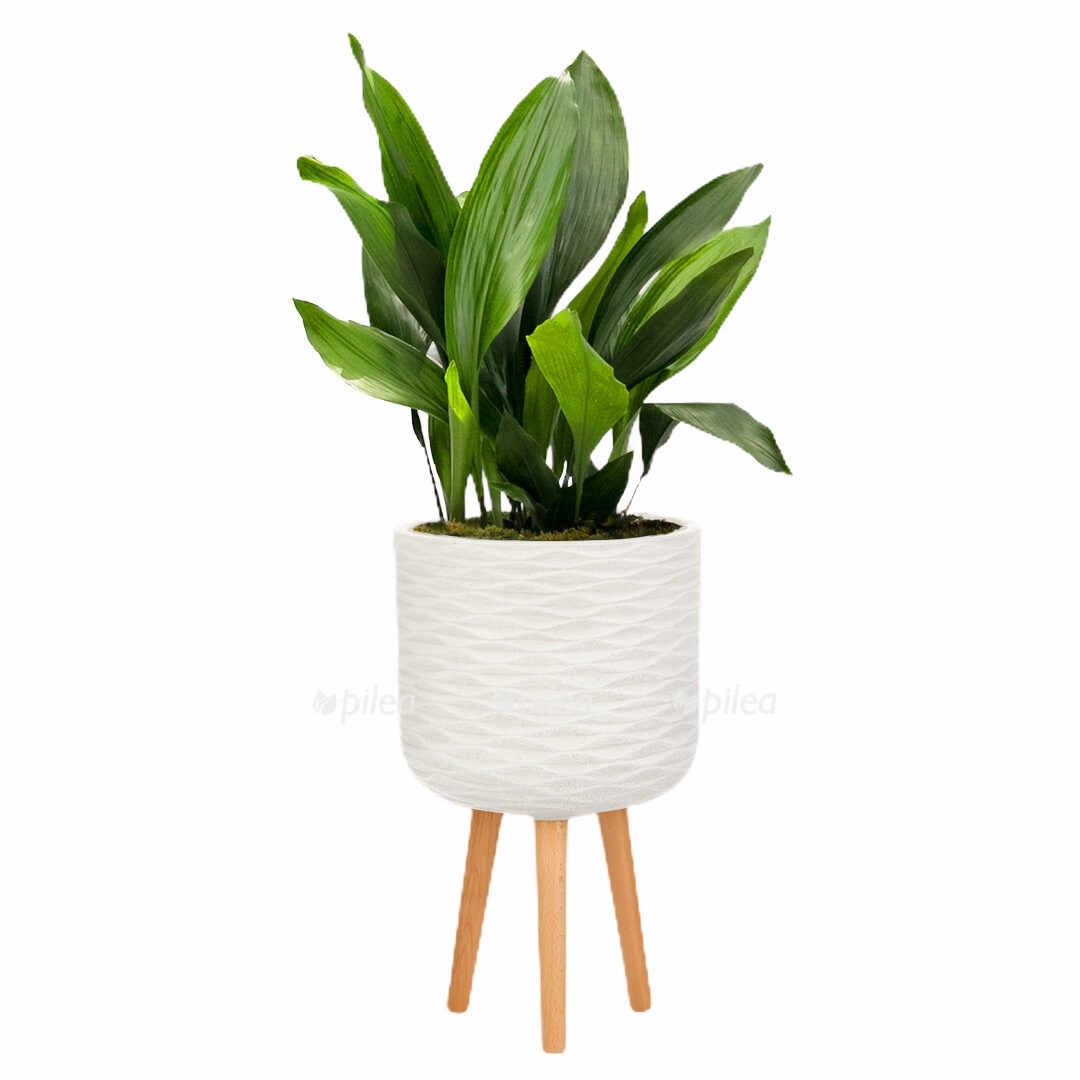 f523ae65 5708 4c8b 8537 7e2f092c52da