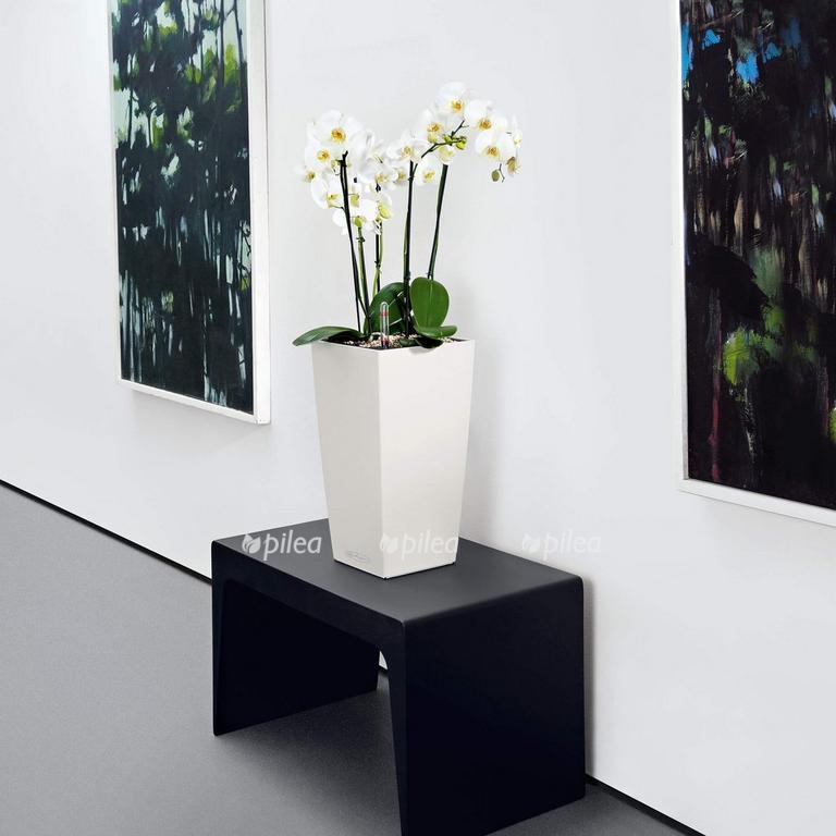 f90f8f6c ddd9 49d4 84a5 af059be0c33c