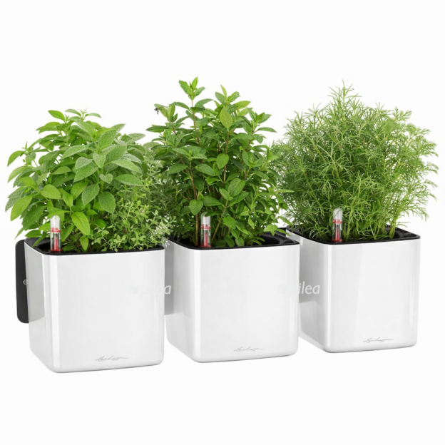 fd364772 92e2 48ea 892d 58dbd07cd50d e1768221061637