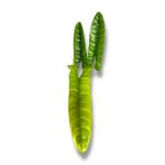 filodendron feliks