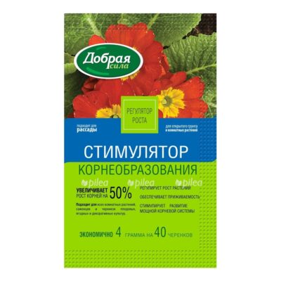 full ds kornevin 2018 01 copy copy 1